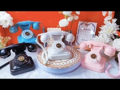 Dauerhafte Erinnerungen Hochzeit Gästebuch Telefon Aufnahme Nachricht Hochzeit Gästebuch