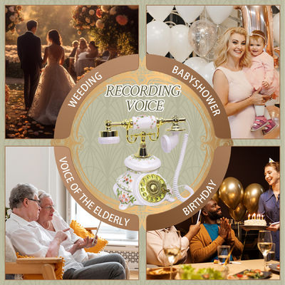 Party Europäische Hochzeit Telefon Gästebuch Audio Gästebuch FiayaCom Nachrichtenrekorder