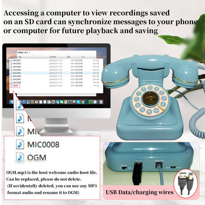 USB-kompatibles Gästebuch Telefon-Schaltflächendesign Voicemail Audio Gästebuch ODM