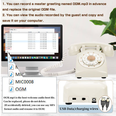 Erinnerungen einfangen Gästebuch Voicemail Abschlüsse Hochzeit Gästebuch Telefon